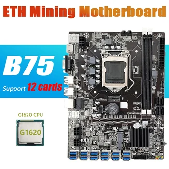 B75 ETH Miniere Placa de baza 12 PCIE La USB Cu G1620 PROCESOR LGA1155 MSATA Suport 2XDDR3 B75 USB BTC Miner Placa de baza